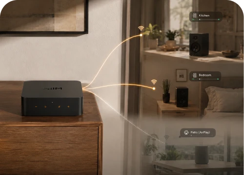 WiiM Pro Plus Network Oynatıcı