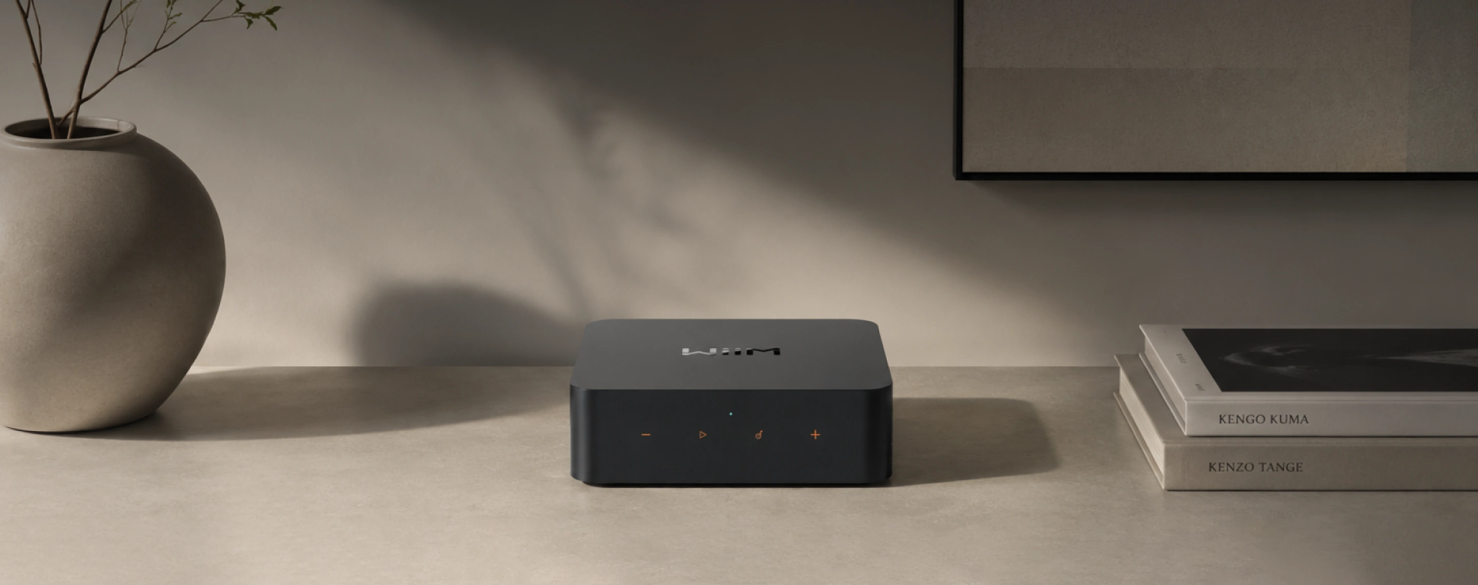 WiiM Pro Plus Network Oynatıcı